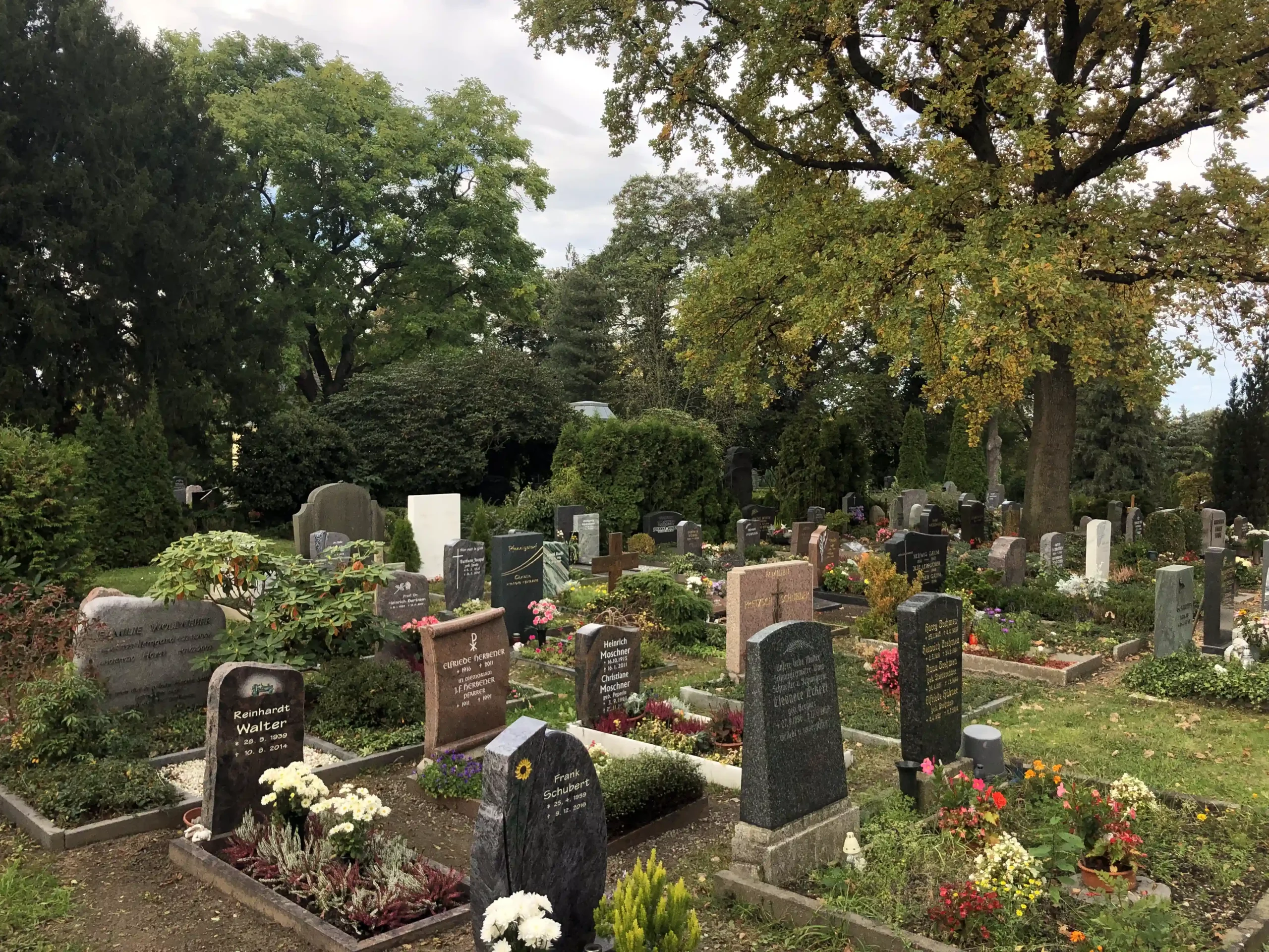 Gräber auf dem Auenfriedhof Markkleeberg