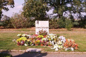 Grab auf dem Friedhof Brandis