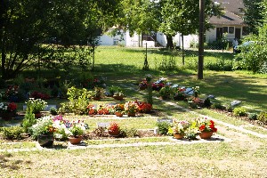 Gräber auf dem Friedhof Colditz