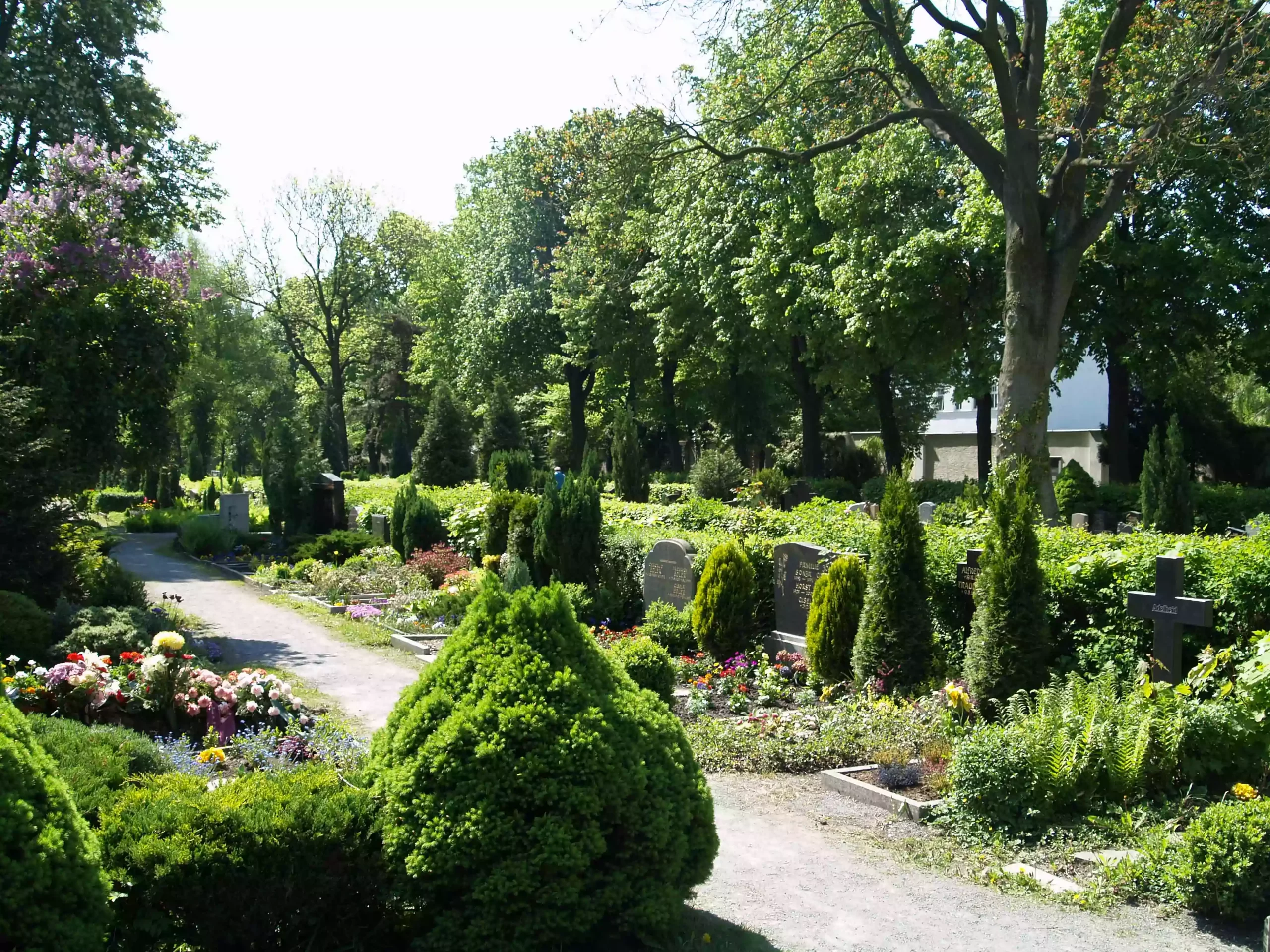 Gräber auf dem Friedhof Connewitz