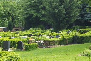 Gräber auf dem Friedhof Döben