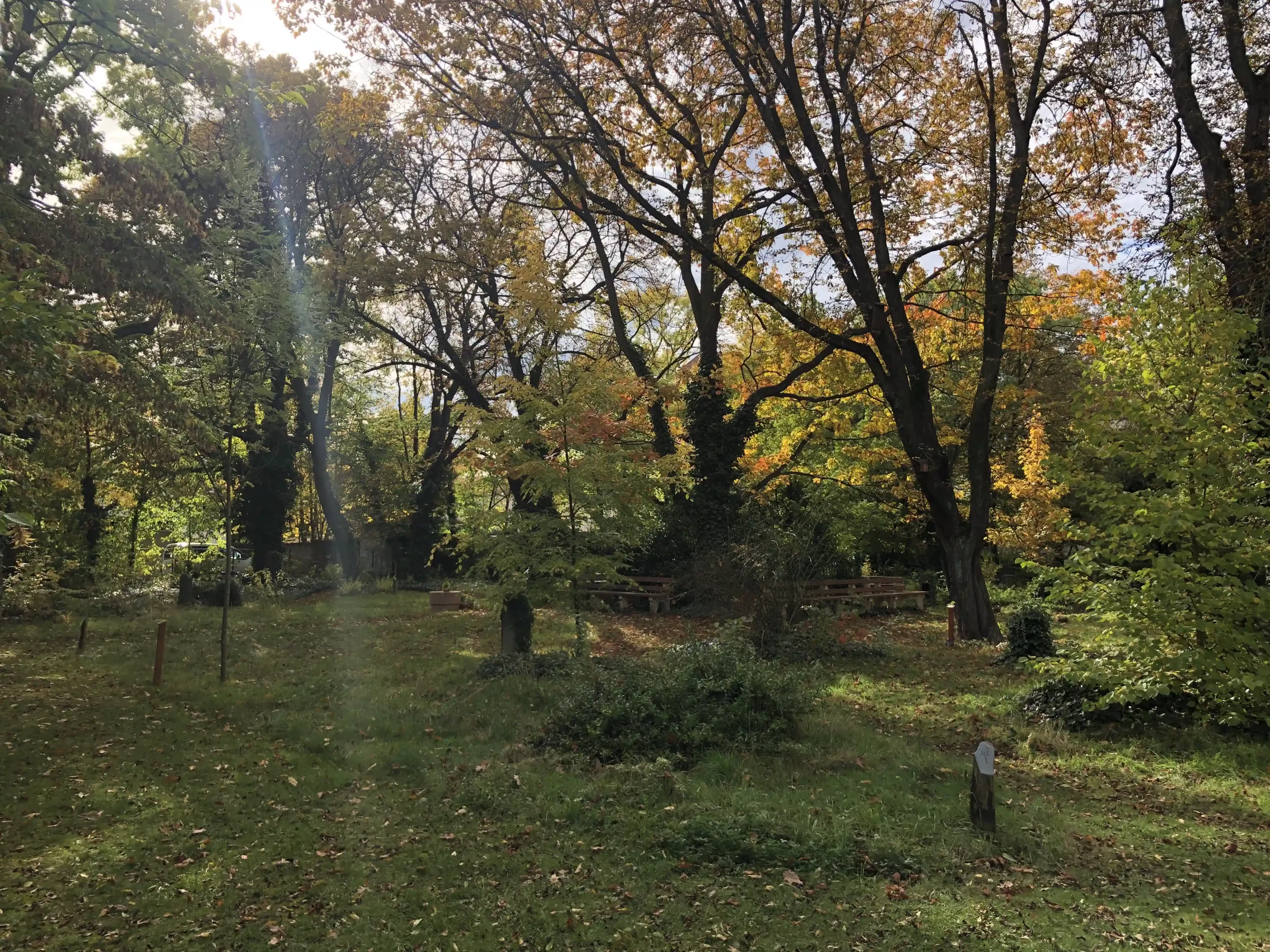 Gräber auf dem Friedhof Lößnig