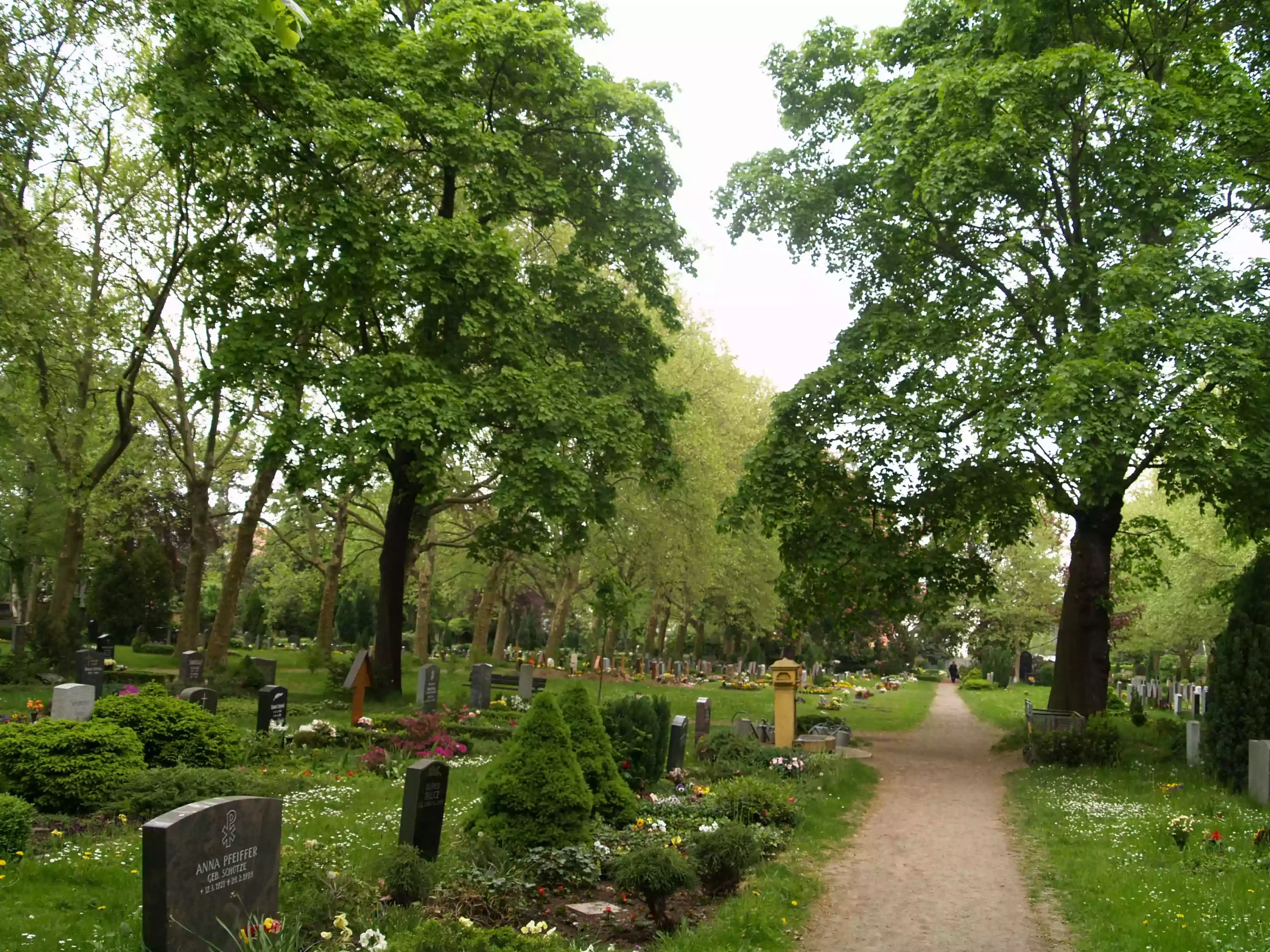 Gräber auf dem Friedhof Gohlis