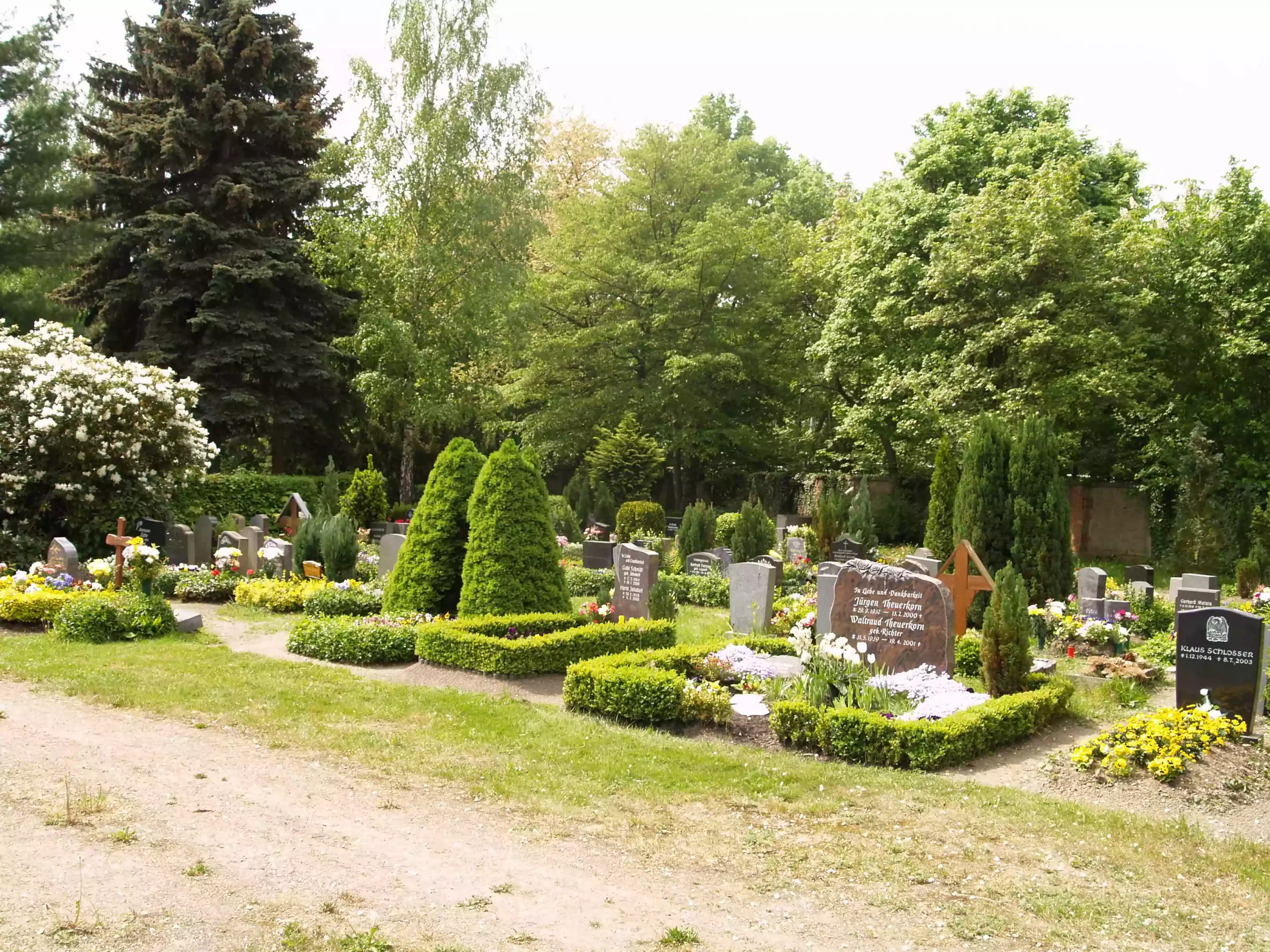 Gräber auf dem Friedhof Gundorf