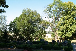 Gräber auf dem Friedhof Leipnitz