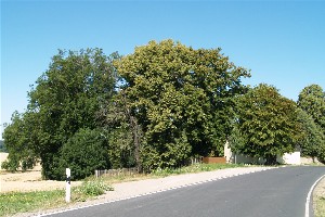 Eingang zum Friedhof Leipnitz