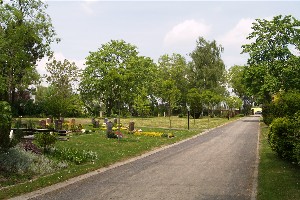 Weg auf dem Friedhof Möckern