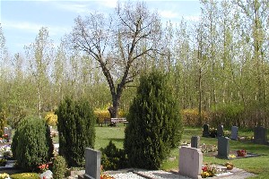 Gräber auf dem Friedhof Mölbis