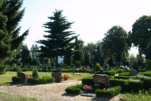 Gräber auf dem Friedhof Mutzschen