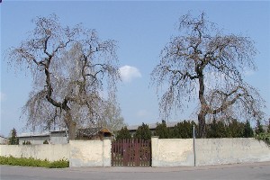 Eingang zum Friedhof Nischwitz