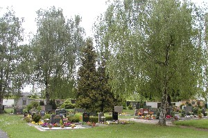 Gräber auf dem Friedhof Seifertshain