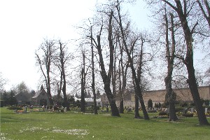Gräber auf dem Friedhof Thallwitz